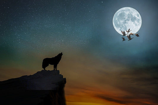 January 2025 Full Moon: Harnessing the Energy of the Wolf Moon